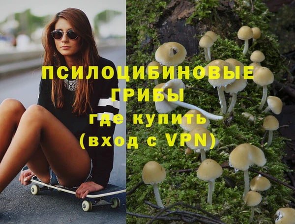 спайс Алексеевка