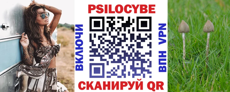 продажа наркотиков  blacksprut рабочий сайт  Псилоцибиновые грибы Psilocybe  Дегтярск 
